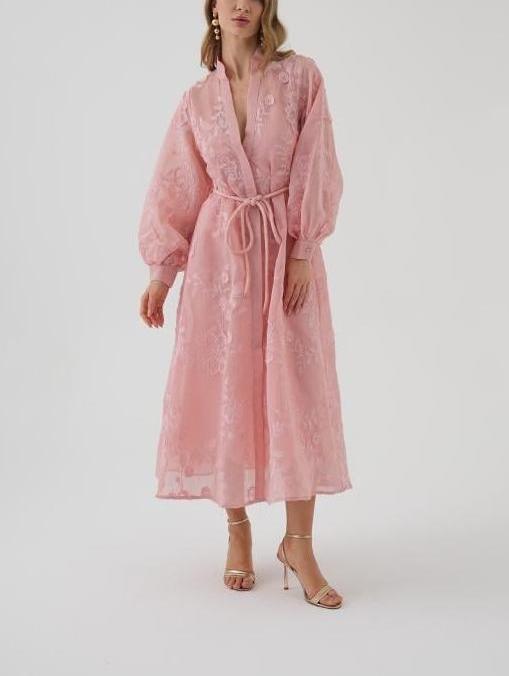 Embroidered Organza Midi Dress