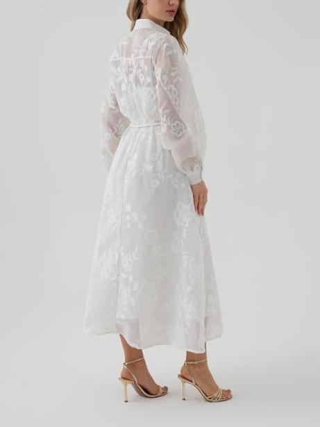 Embroidered Organza Midi Dress