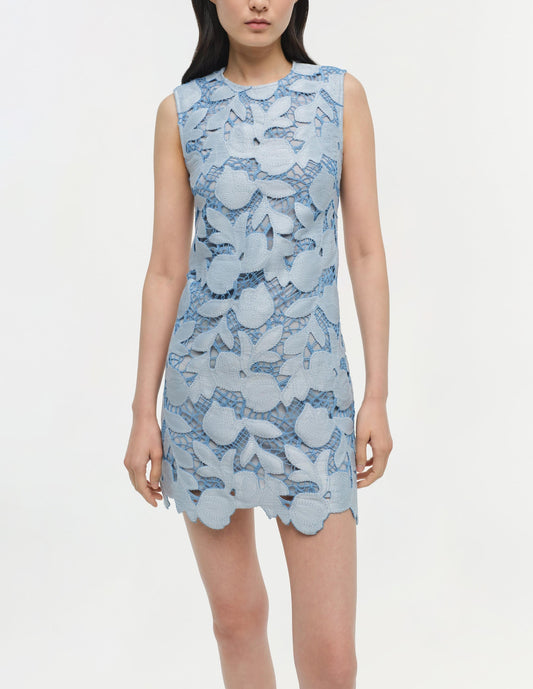Mickie Embroidered Mini Dress