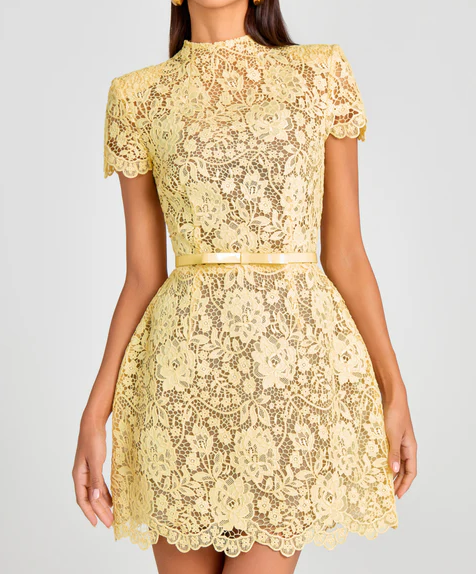 Lace Cut-out Two-piece Dress